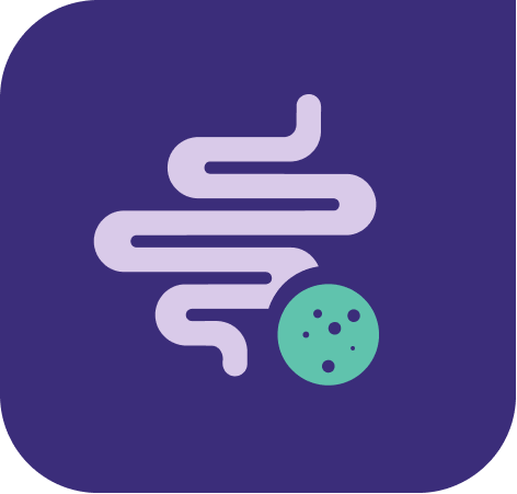 Small intestine icon